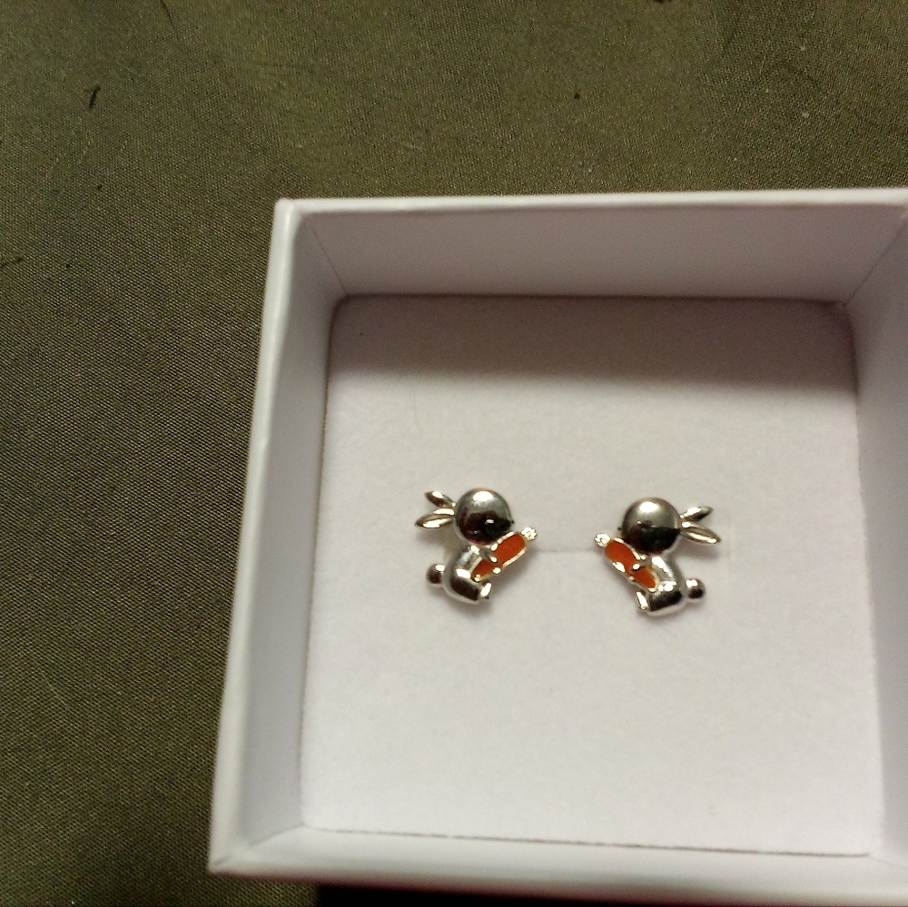 Sterling Earrings